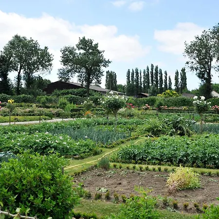 酒店 贝斯特韦斯特梅泰里酒店