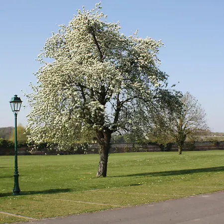 酒店 贝斯特韦斯特梅泰里酒店 格斯奈